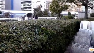 官方网站:❌❌|哪吒浏览器上海男子起诉银行骚扰电话,获赔5000元🐓